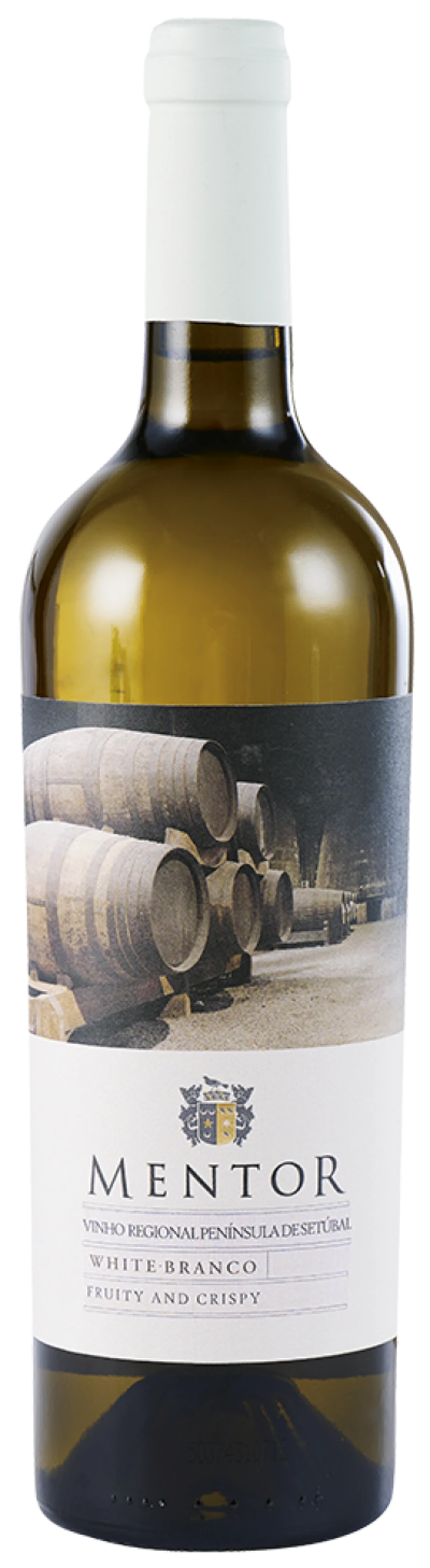 MENTOR 12%