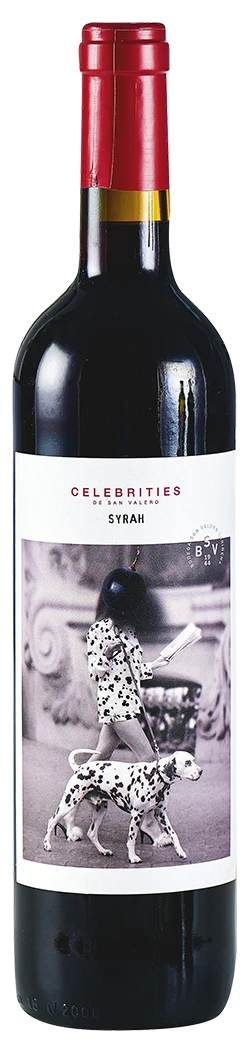 CELEBRITIES 13,5%