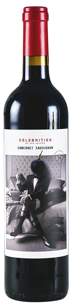 CELEBRITIES 13,5%