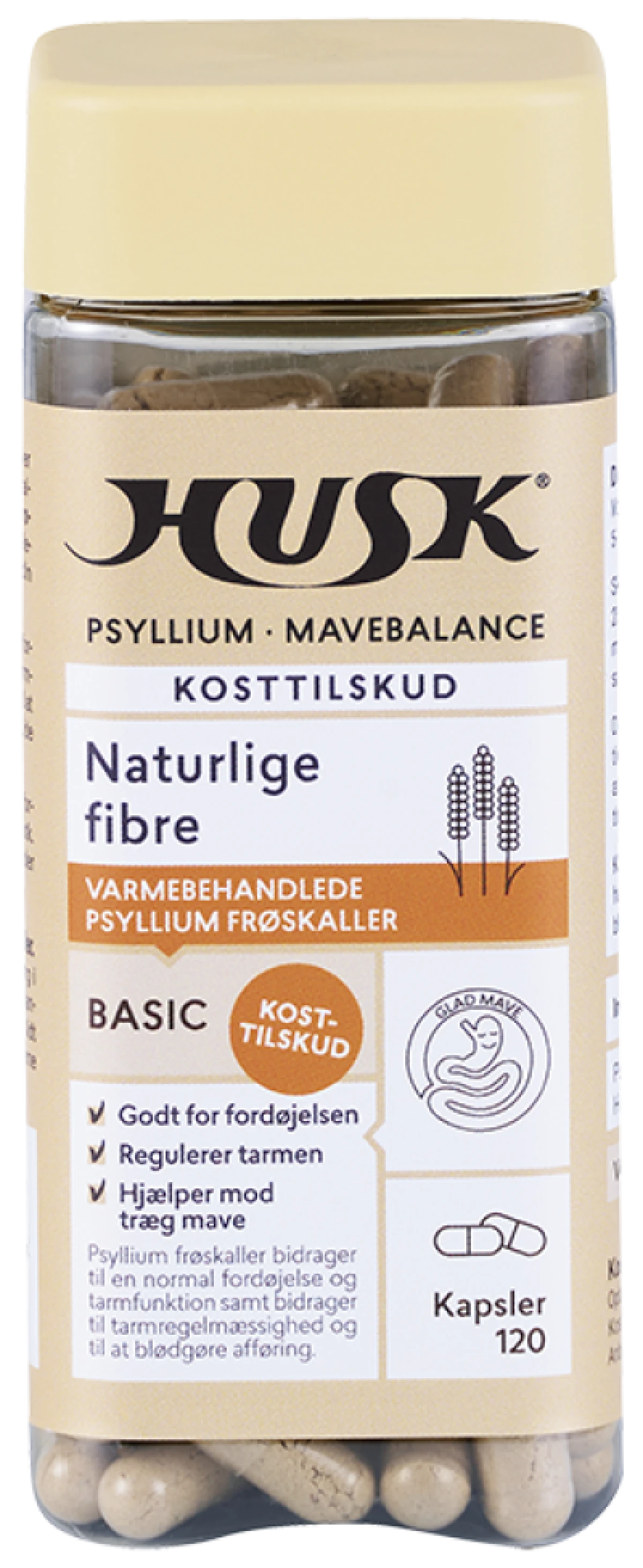 HUSK PSYLLIUM